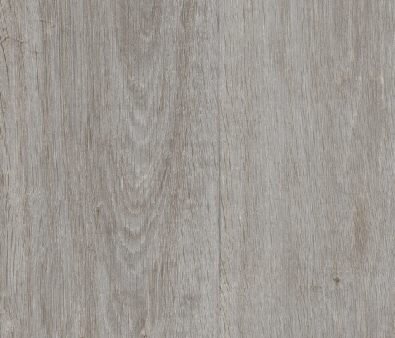 Expona Flow Wood Silver Oak | Suelos de plástico | objectflor