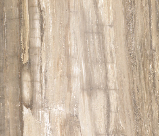 Stonewood | Quercus | Carrelage céramique | TERRATINTA GROUP