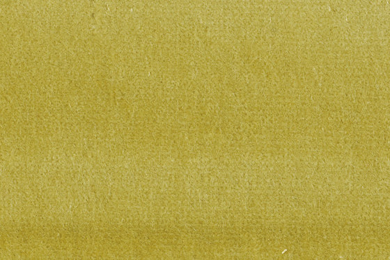 Visconte III 204 | Drapery fabrics | Fischbacher 1819