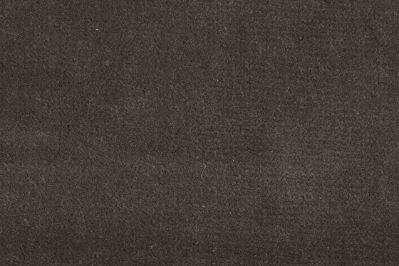 Visconte III 205 | Drapery fabrics | Fischbacher 1819