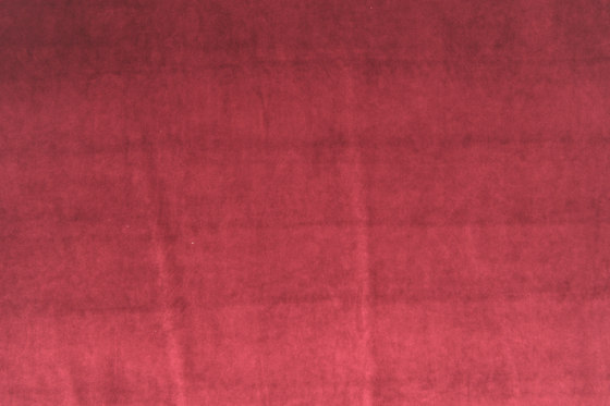 Vitus 422 | Drapery fabrics | Fischbacher 1819