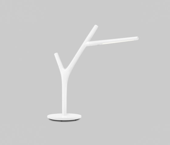 Faggio Table | Tischleuchten | ateljé Lyktan