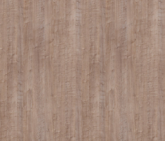 Mountain Maple sepia | Planchas de madera | Pfleiderer