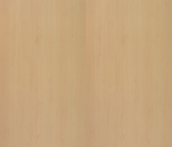 Hard Maple | Wood panels | Pfleiderer