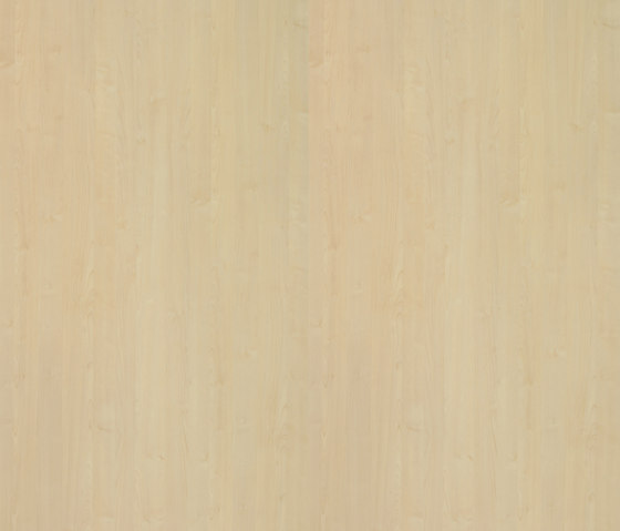 Black Forest light Maple | Wood panels | Pfleiderer