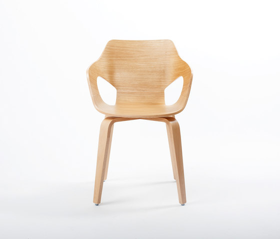 Curved Oak Chair | Sillas | dutchglobe