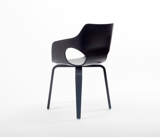 Curved Oak Chair | Stühle | dutchglobe