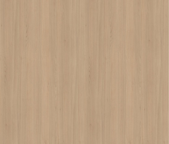 Style Beech natural | Planchas de madera | Pfleiderer