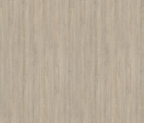 Odeon Oak sand | Wood panels | Pfleiderer