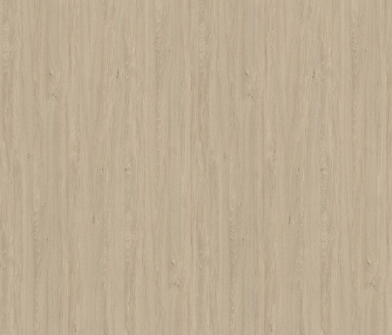 Apollo Oak cream | Wood panels | Pfleiderer