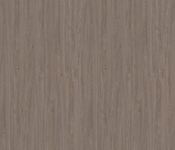 Apollo Oak cinnamon | Wood panels | Pfleiderer