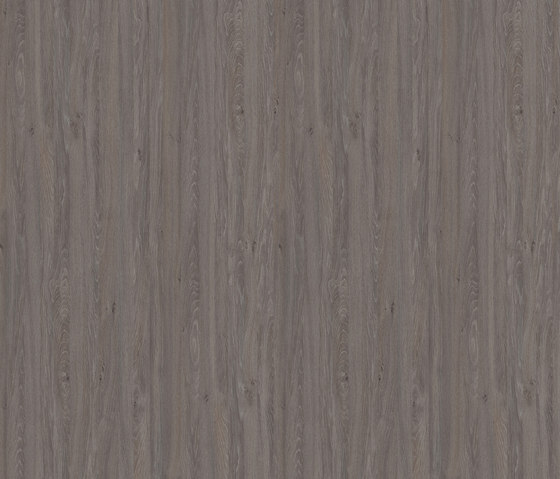Apollo Oak grey | Planchas de madera | Pfleiderer