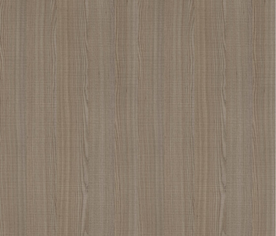 Grey Dragon Ash | Wood panels | Pfleiderer