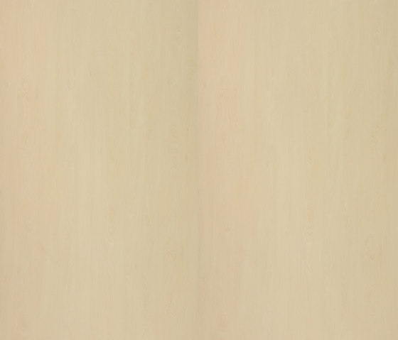 Wild Pear Maple colour | Wood panels | Pfleiderer