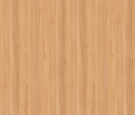 Birne Medea honig | Holz Platten | Pfleiderer