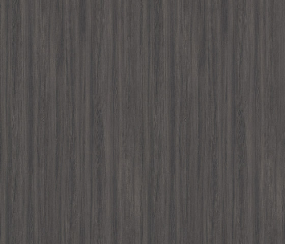 Ovid Elm nutmeg | Wood panels | Pfleiderer