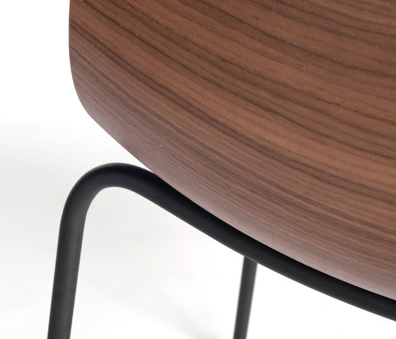 Loku chair | Sedie | Case Furniture