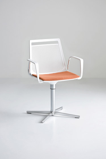 Akami L Bracciolo | Chairs | Gaber