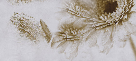 Crazy Flowers | Quadri / Murales | Inkiostro Bianco