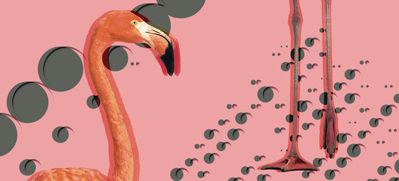 Flamingos | Quadri / Murales | Inkiostro Bianco