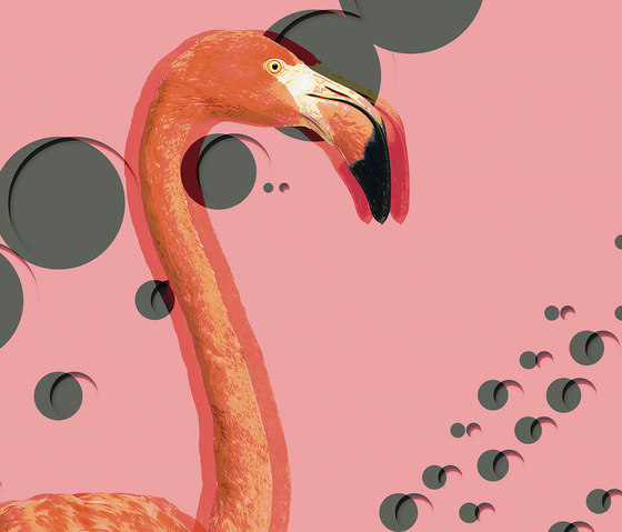 Flamingos | Wall art / Murals | Inkiostro Bianco