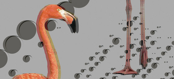 Flamingos | Quadri / Murales | Inkiostro Bianco
