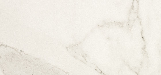 I Naturali - Marmi Bianco Statuario | Panneaux céramique | Laminam