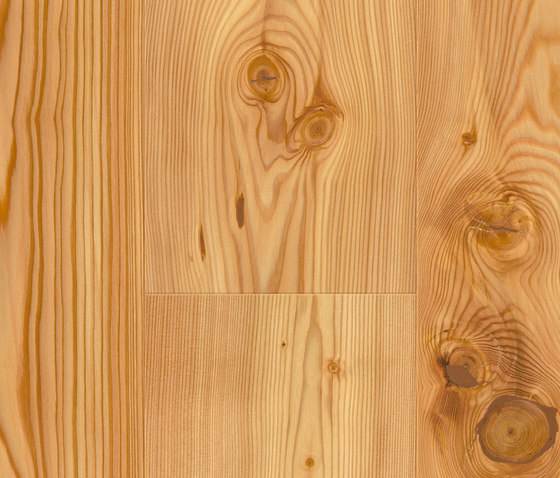 FLOORs Softwood Larch rustic | Wood flooring | Admonter Holzindustrie AG