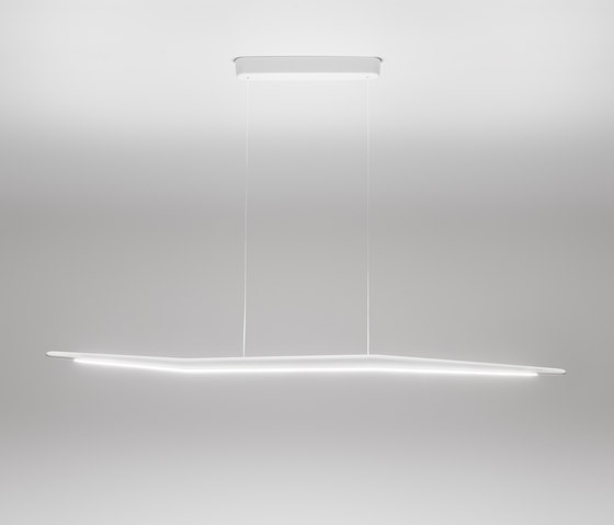 Branch suspension lamp | Suspended lights | Linea Light Group