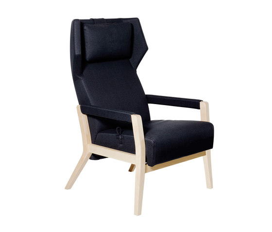 Select Wood easy chair | Poltrone | Swedese