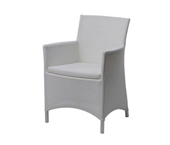 Koro Dining Chair with Arms | Chaises | Akula Living