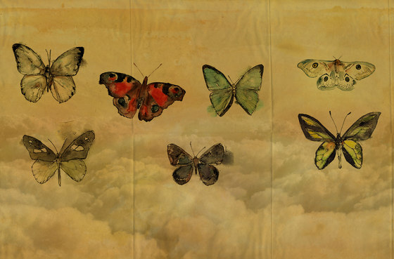Butterflies | Quadri / Murales | Wall&decò
