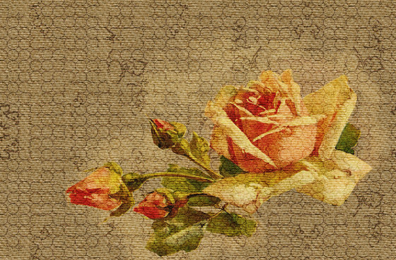 Cutting Flowers | Revêtements muraux / papiers peint | Wall&decò