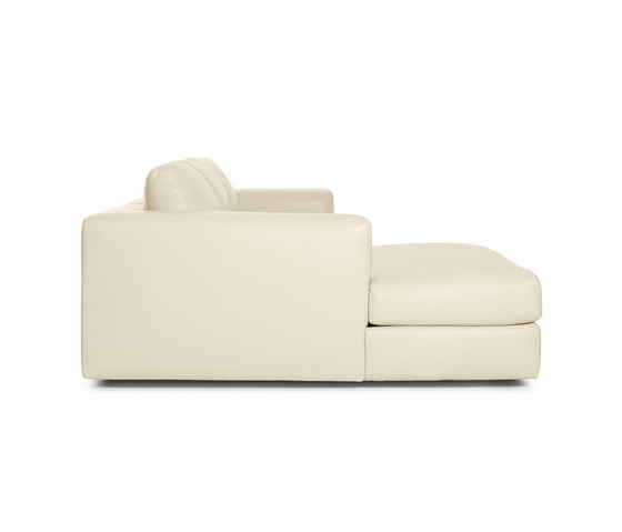 Reid Sectional Chaise Left in Leather | Sofas | Design Within Reach