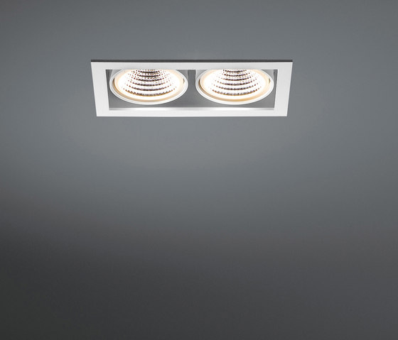 Mini multiple 2x LED 1-10V/Pushdim RG | Lámparas empotrables de techo | Modular Lighting Instruments