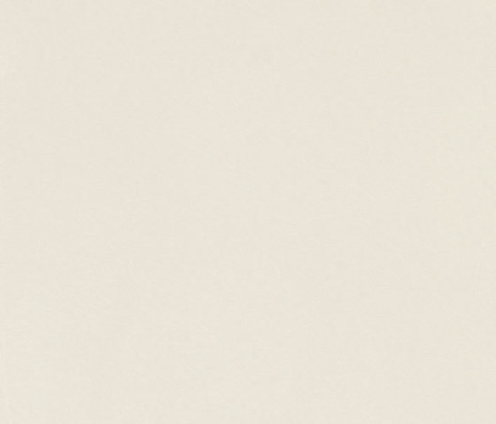 Ottocento Italiano fascia riposo liscia bianca | Piastrelle ceramica | Petracer's Ceramics