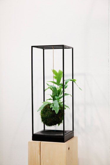 Plant Bondage Noir | Vasi piante | Farrah Sit