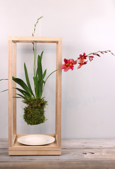 Plant Bondage Ash | Vasi piante | Farrah Sit