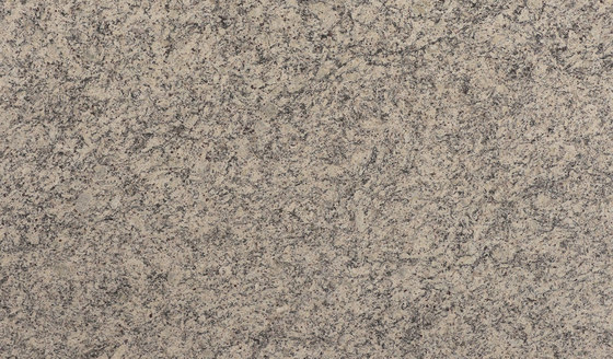 Granite Collection White Dallas | Planchas de piedra natural | LEVANTINA