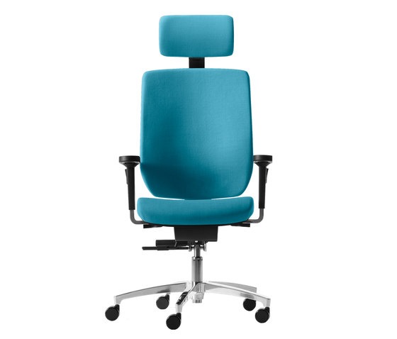 Bionic syncro | Office chairs | Dauphin