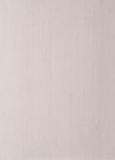 Maloja S031 | Holz Platten | CLEAF