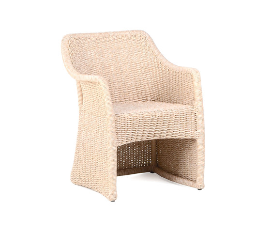Elan Dinning Armchair - PT | Chairs | Wintons Teak