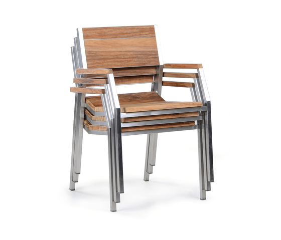Salma Lumiere Chair | Sedie | Wintons Teak
