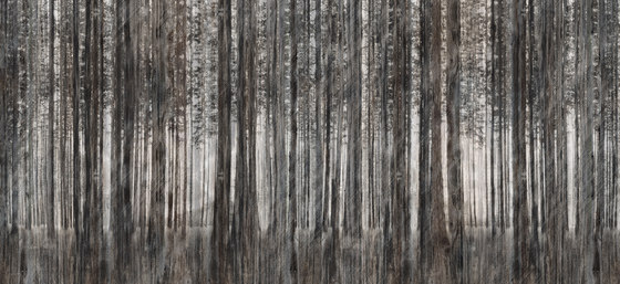 Robin Hood | Wall coverings / wallpapers | Inkiostro Bianco