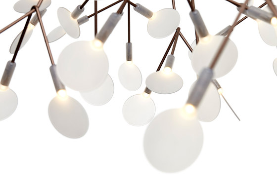 Heracleum The Big O - Small Copper | Suspended lights | moooi