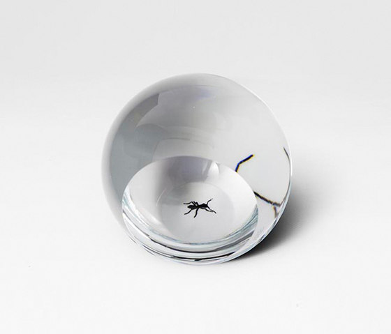 Ant | Living room / Office accessories | Petite Friture