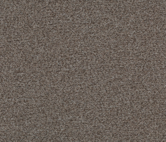 Tessera Teviot seal | Carpet tiles | Forbo Flooring
