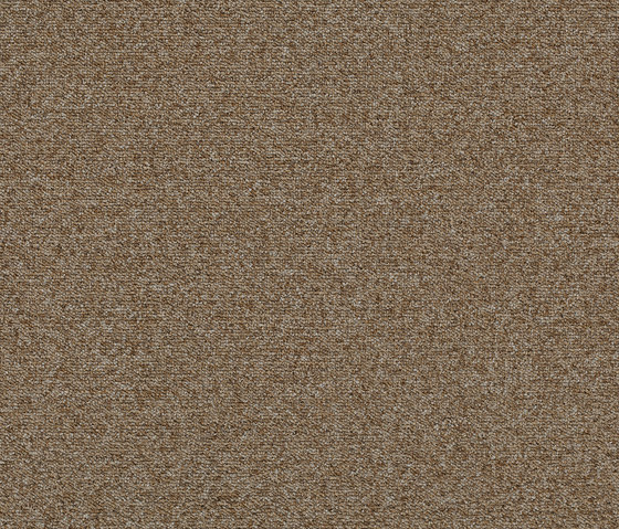 Tessera Teviot malt | Carpet tiles | Forbo Flooring