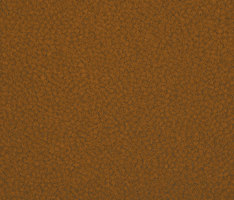 Westbond Ibond Naturals sun stroke | Carpet tiles | Forbo Flooring