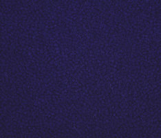 Westbond Ibond Blues deep purple | Teppichfliesen | Forbo Flooring